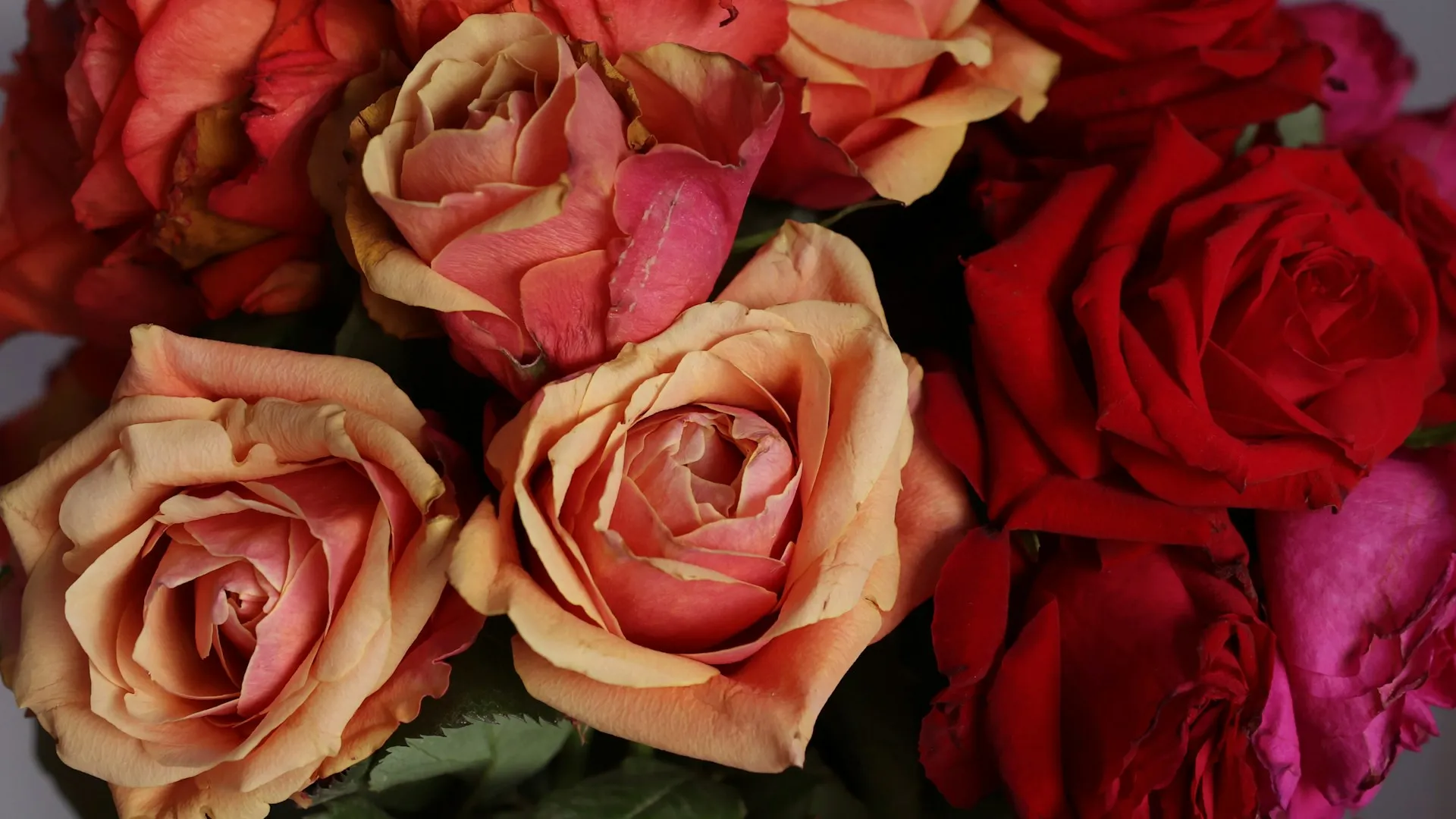 Andrea Flower Shop floral arrangement